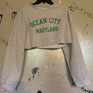 OC Maryland SHEIN Crop Top